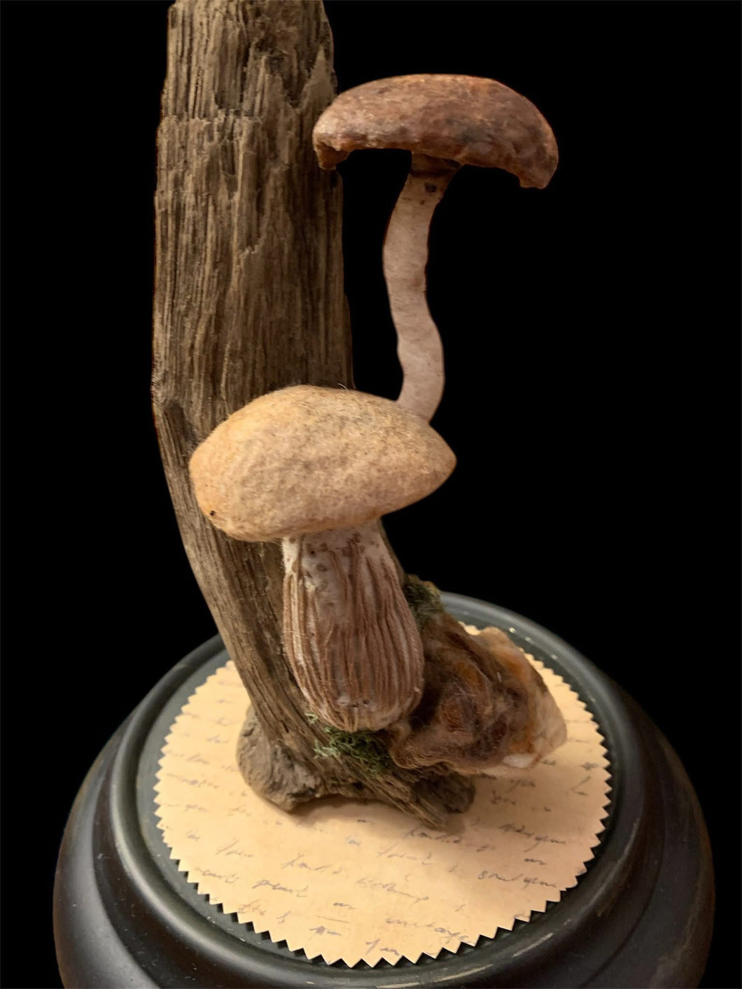 Needle Felting Mushroom Class 9/22 10-2 CST