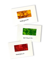 Load image into Gallery viewer, Tim Holtz® Alcohol Ink Kit - Conservatory
