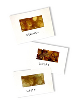 Load image into Gallery viewer, Tim Holtz® Alcohol Ink Kit - Cabin Cupboard
