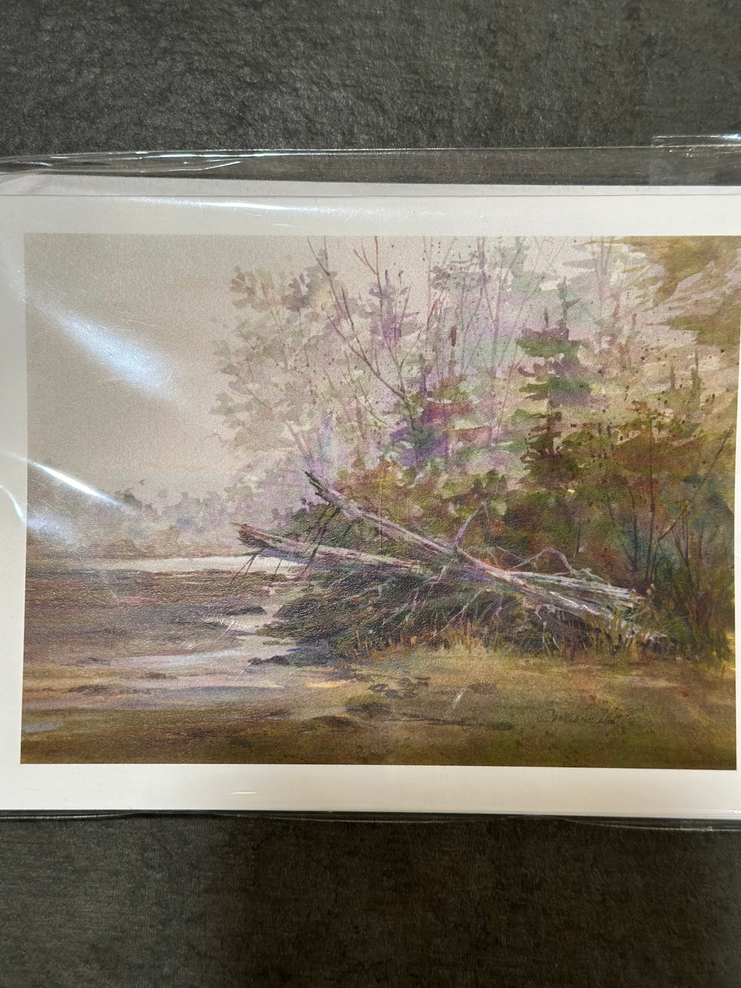 CL114 Notecards “Foggy Morning”