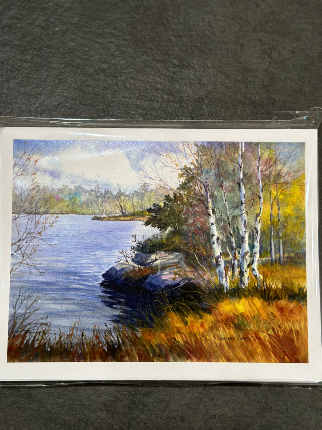 CL115 Notecards “Back Bay”