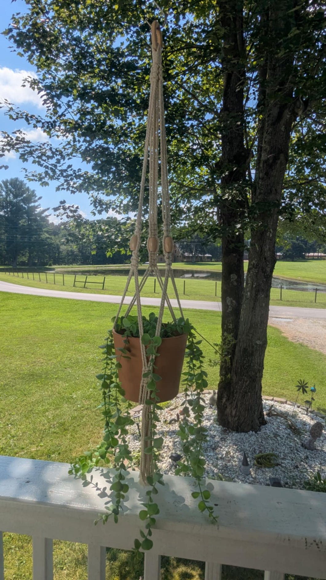 Macrame Plant Hanger Class 10/10 5:30-7:30 CST