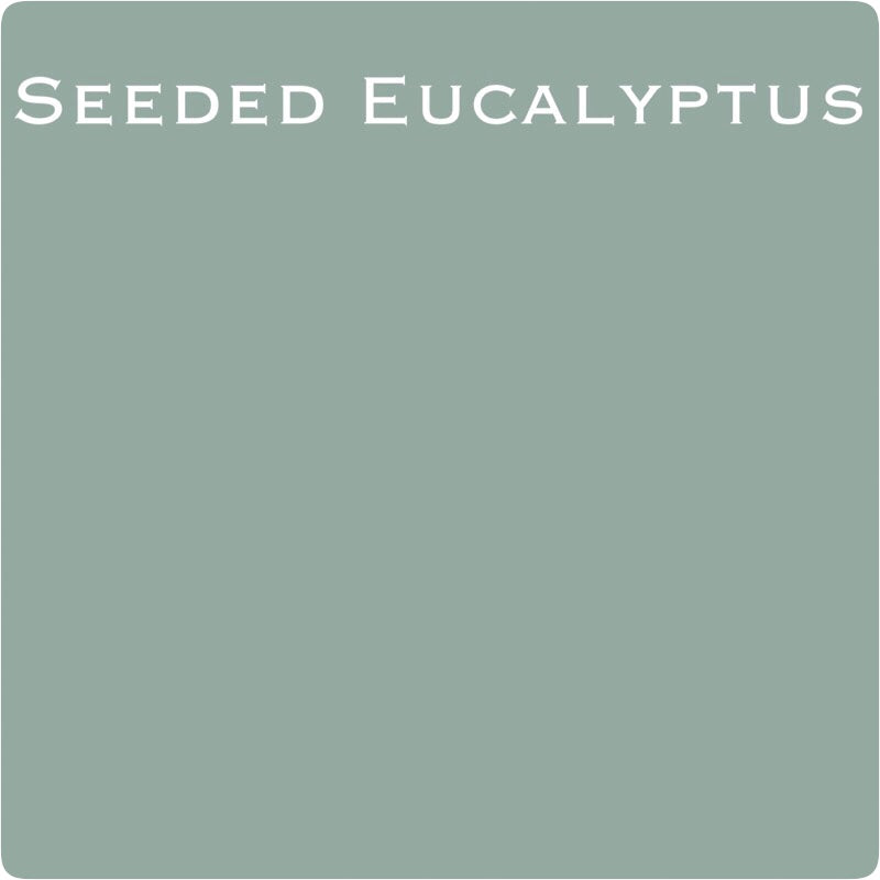 Wise Owl One Hour Enamel - Seeded Eucalyptus
