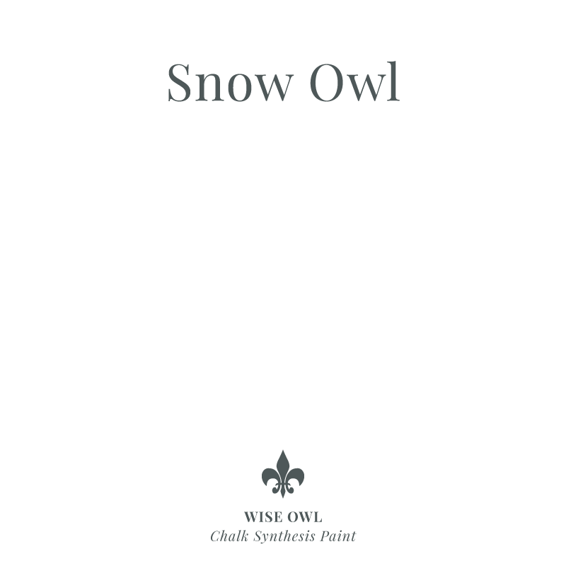 Wise Owl One Hour Enamel - Snow Owl